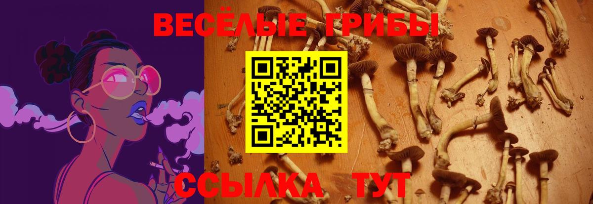 Псилоцибиновые грибы Magic Shrooms Аксай